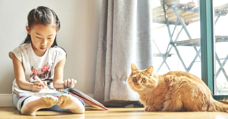 Komunitas Pecinta Kucing (3)