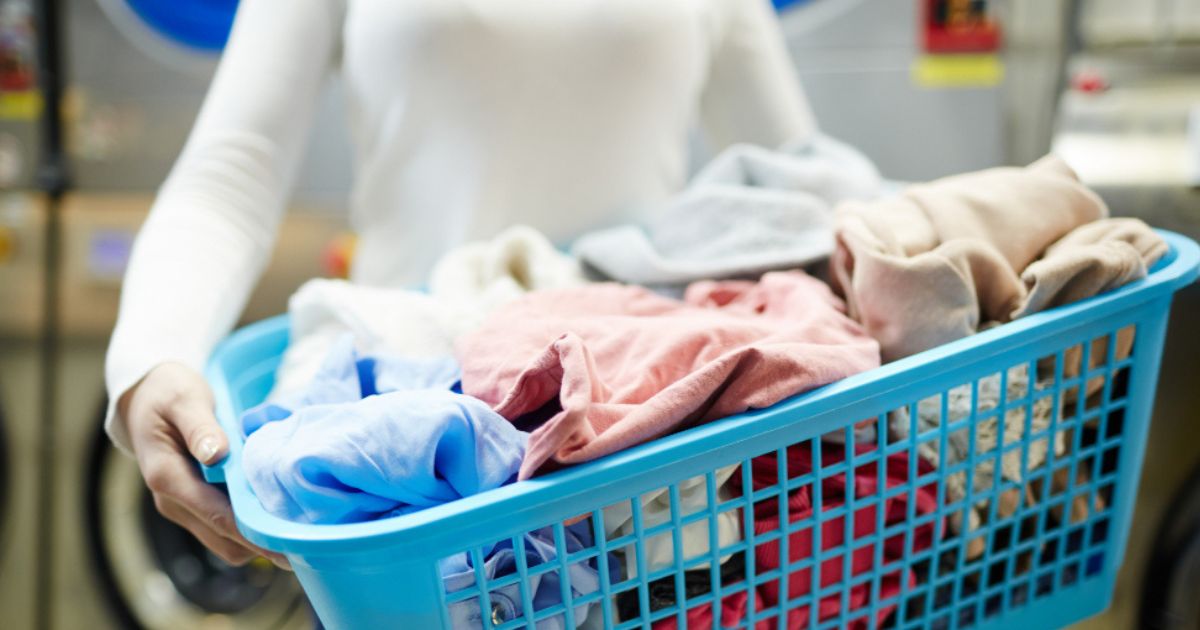 franchise jasa