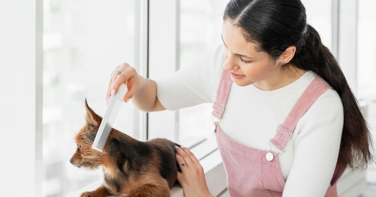 Kesalahan Bisnis Petshop