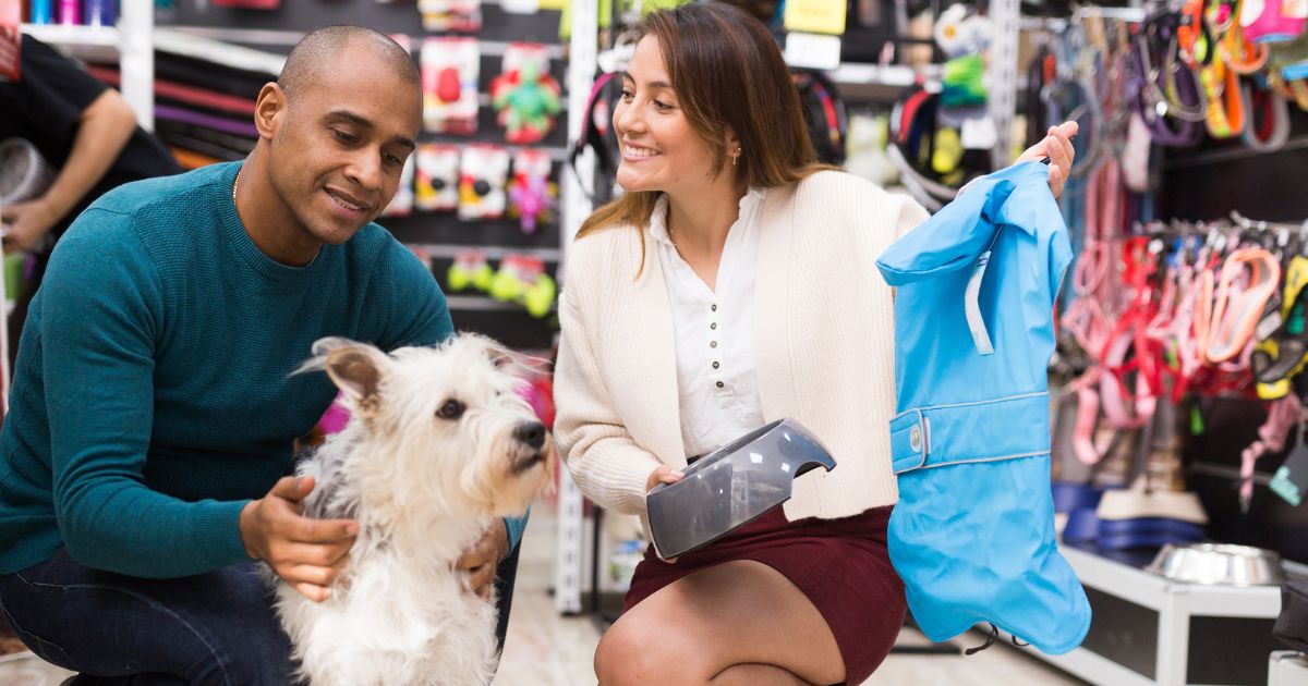 Mitigasi Risiko Bisnis Pet Shop