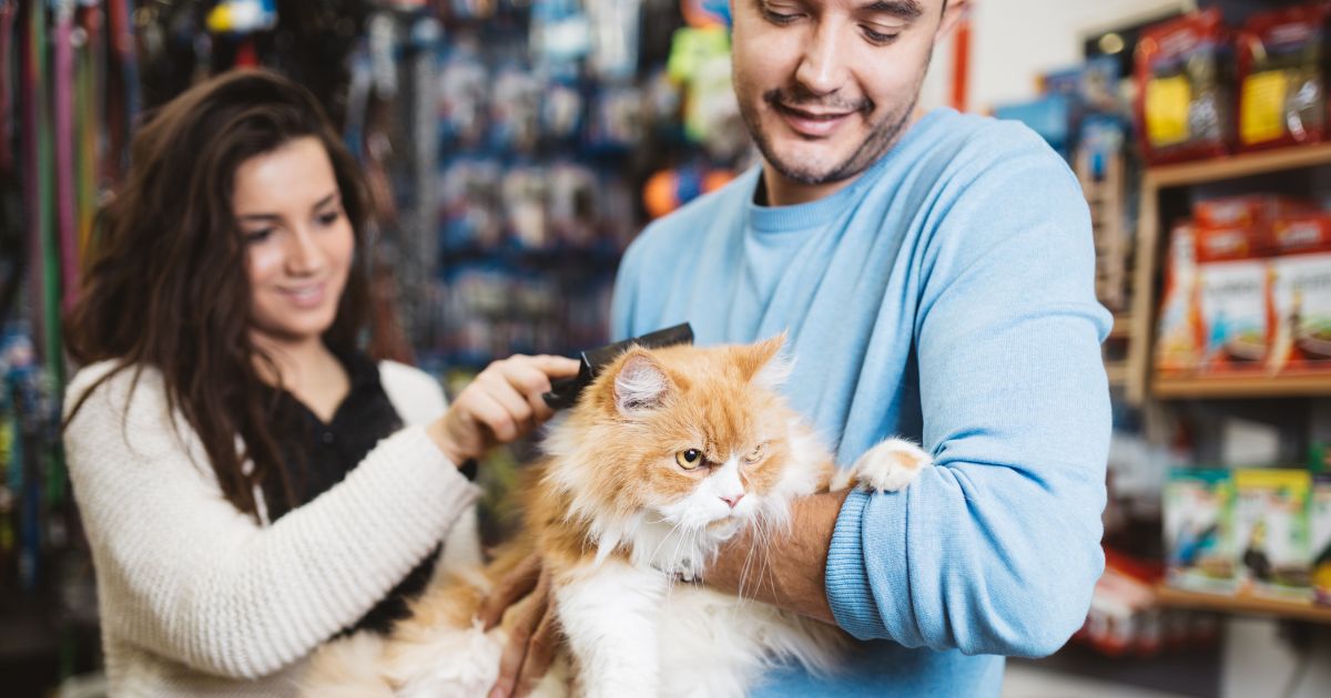 Cara Memulai Usaha Petshop