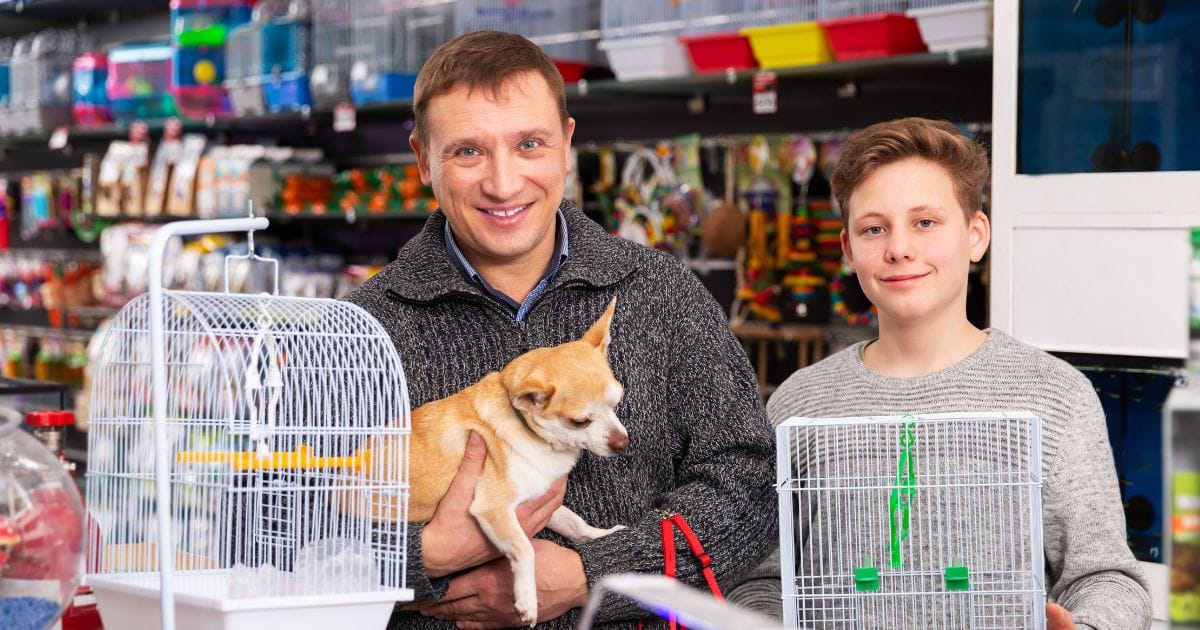 Franchise PetShop